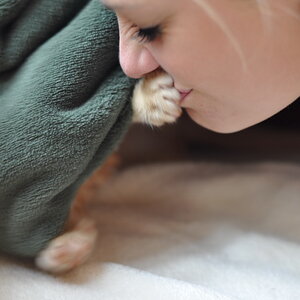 cb 110901 0017 cat nff