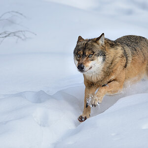 20130222 0040 NX 1000px