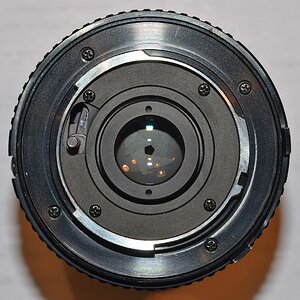 DSC10126