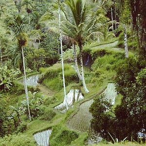 PICT0703 khg
