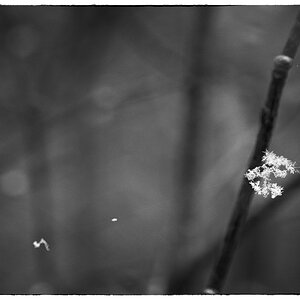 SchneeDSC 0764