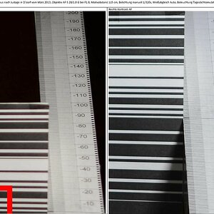 D800 Justageergebnis Vergleich Phasen-AF zu Kontrast-AF, 45% Crop, Rechts