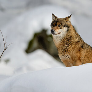 20130222 0151 NX 1000Px