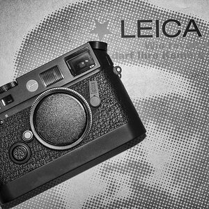 Leicavit
