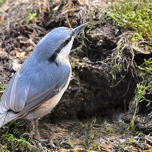 DSC 0528 khg