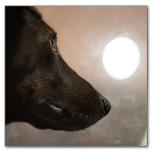 into the light1
