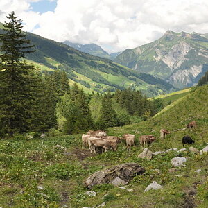 Wychlen zuhinterst im Sernftal