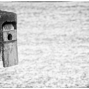 HausDSC 0776