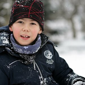 Noel Winter 2013