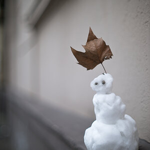 schneemann