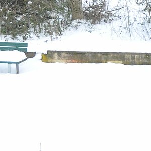 DSC 0092 n