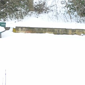 DSC 0095 n