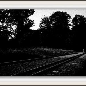 der Weg ins Licht