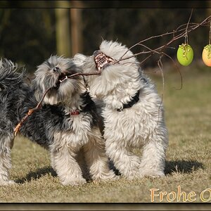 Frohe Ostern
