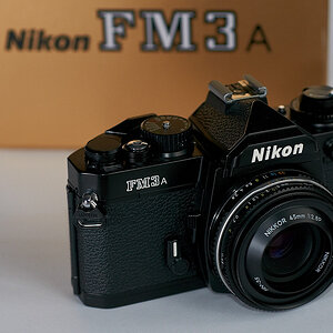 FM3a mit Nikkor 45mm 1:2.8P