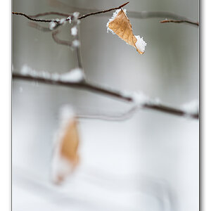 schnee2