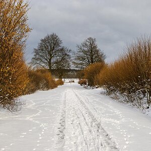 Verschneiter Weg