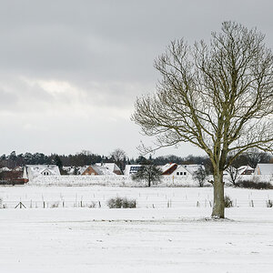 Winterlandschaft