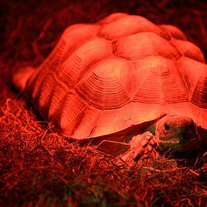 DSC 0506