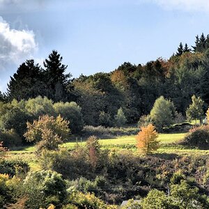 herbst