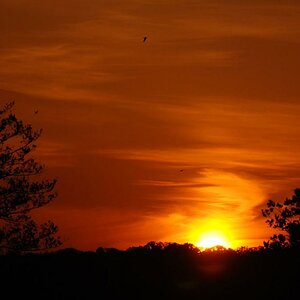 2008 06 Sonnenuntergang 001