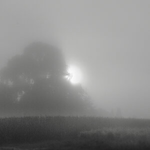 DSC 7269 7 8 4 sw NFF
