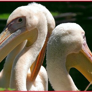 Burgers Zoo Arnhem