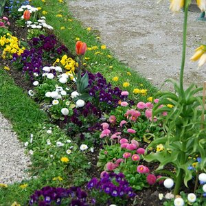 DSC 0900074815690007