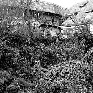 Bebenausen 8.11.2008