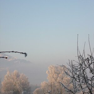 IMG 0013 1