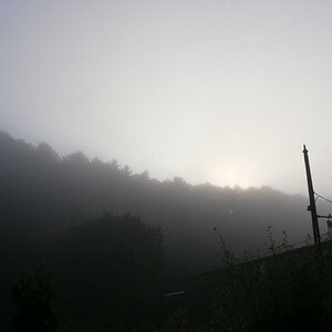 Guten morgen 2