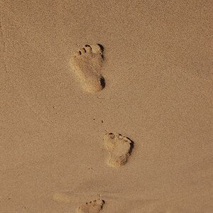 Sinnestäuschung?