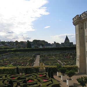 IMG 0339