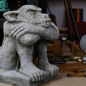 DSC 7501