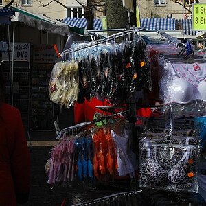DSC 7537
