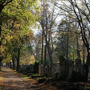 DSC 7605