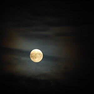 mond