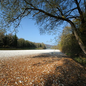 20081025 131244Herbst Isar