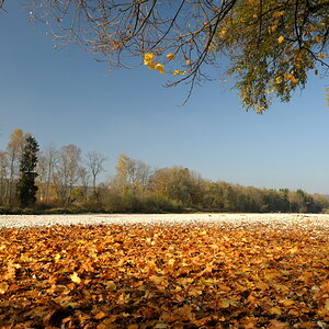 20081025 143242Herbst Isar