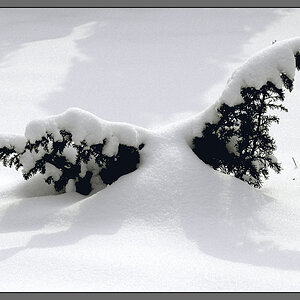 Schnee 5290