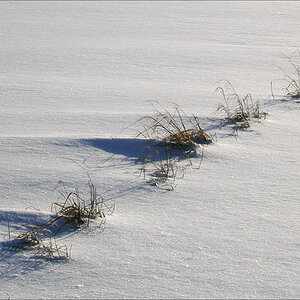 Schnee2002 D