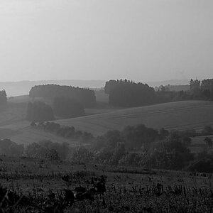 Morgendunst 1804