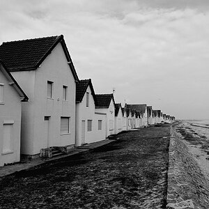 DSC 0131 sw1 nff