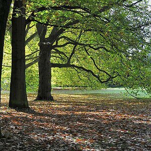 Herbst in Bochum