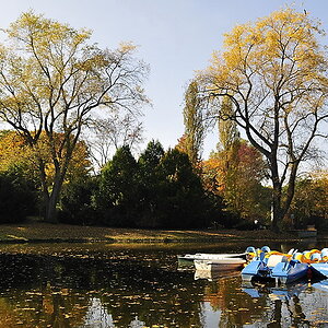 Herbst in Bochum
