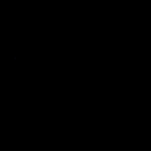 20090406 DSC 3291 web