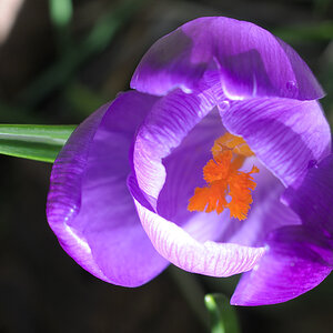 20090304 001 w