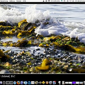 Desktop meines MBpro noch unter Tiger 10.4.11