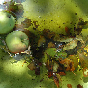 Natur 3