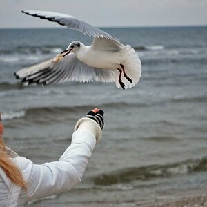 nicole und möwe